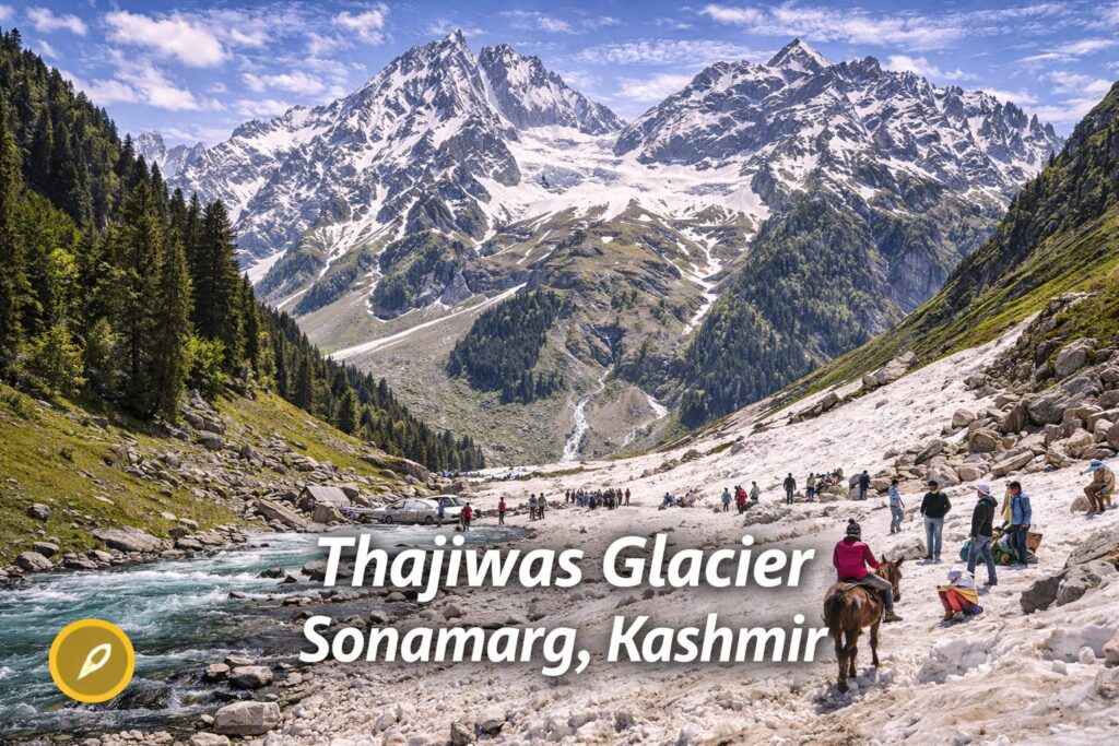 best tourist places in sonamarg