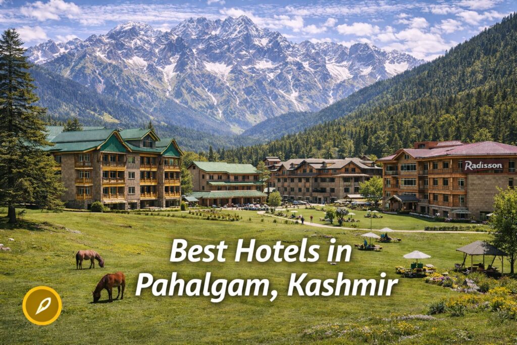 best hotels in kashmir